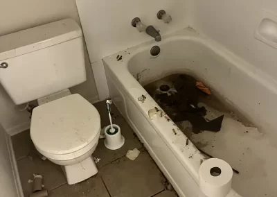 Deep Cleaning