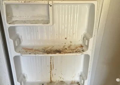 Quality Deep Cleaning