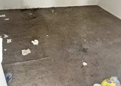 Quality House Cleaning Service